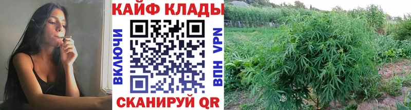 Наркошоп Городовиковск Каннабис  КОКАИН  Гашиш  АМФЕТАМИН  mega   A-PVP  Мефедрон  Героин 