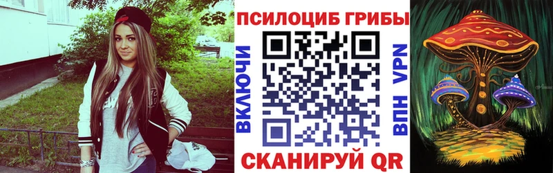 Галлюциногенные грибы прущие грибы  Городовиковск 
